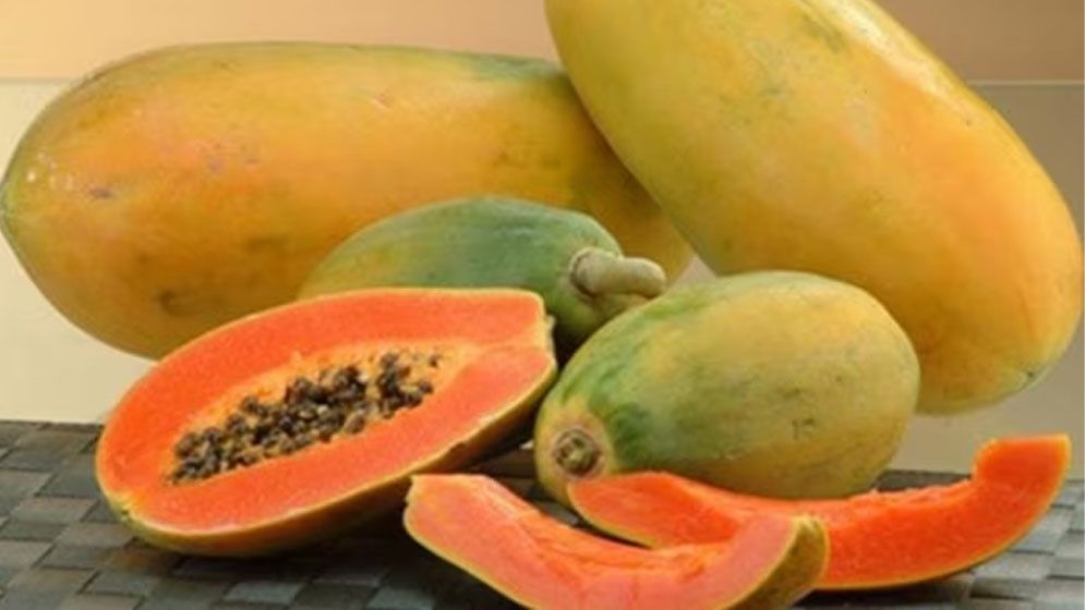 পেঁপে খাওয়া যাদের জন্য বিপজ্জনক হতে পারে