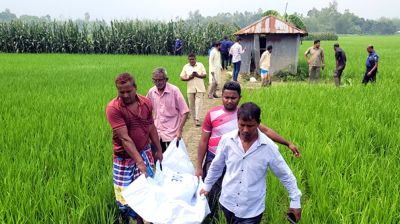 শ্যালোমেশিন ঘরে ঘুমাতে যাওয়া কৃষকের লাশ মিলল ধানখেতে
