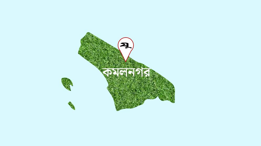 নাইটগার্ডের নেতৃত্বে সাড়ে ৩ লাখ টাকার ইলিশ লুট!