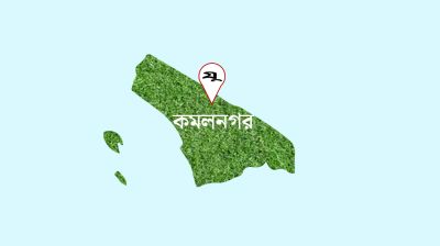 নাইটগার্ডের নেতৃত্বে সাড়ে ৩ লাখ টাকার ইলিশ লুট!