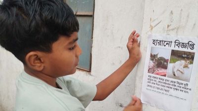 হারানো বিড়াল ফিরে পেতে পোস্টারিং!