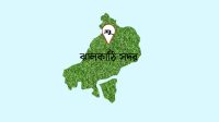 ফেসবুক লাইভে দুই শিশুপুত্র নিয়ে পিতার বিষপান