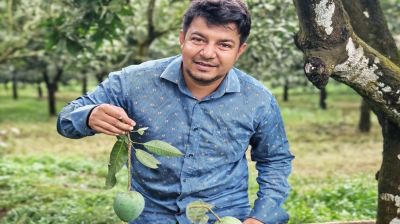 ভুয়া অর্ডার দিয়ে হয়রানি করেছে জামায়াতের ভাইয়েরা: তারেক