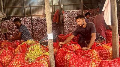 এক মণ পেঁয়াজেও মিলছে না এক কেজি ইলিশ!