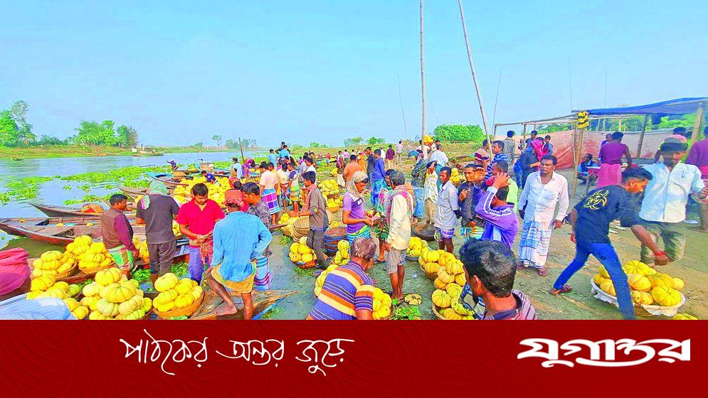 বাঙ্গির গ্রাম ভাঙ্গাভিটা