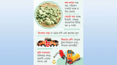 মাঠে নষ্ট হচ্ছে কৃষিপণ্য