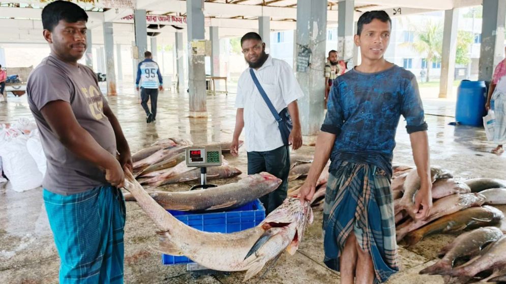 ২৮ লাখ টাকায় বিক্রি ১৪৪ লাক্ষা