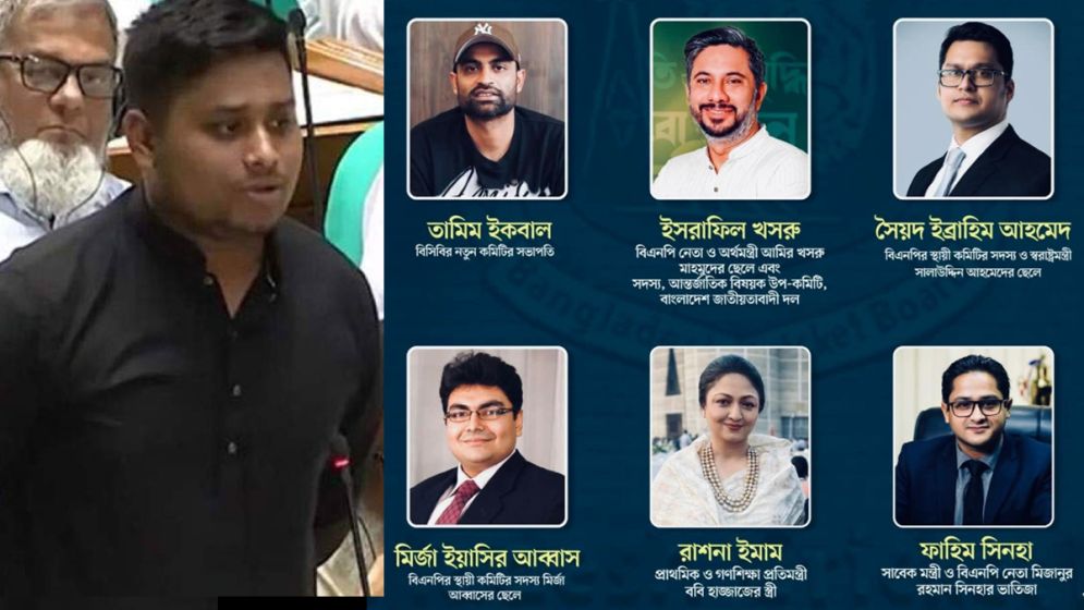 বিসিবি বাপের দোয়া ক্রিকেট বোর্ড: হাসনাত আবদুল্লাহ