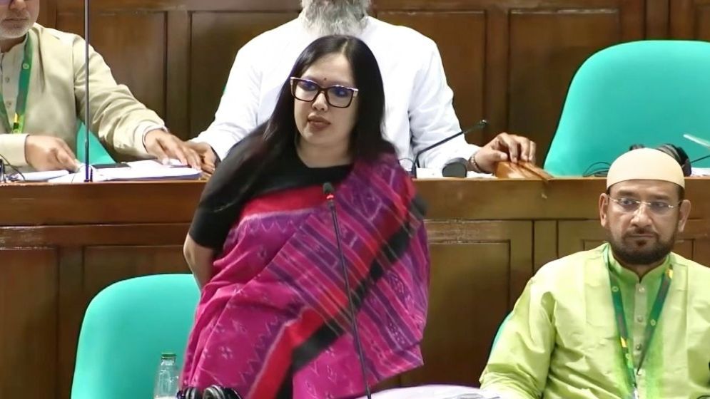 ব্যাংক ও বিশ্ববিদ্যালয়গুলোতে ‘দলীয়’ নিয়োগ, তুমুল সমালোচনায় রুমিন ফারহানা