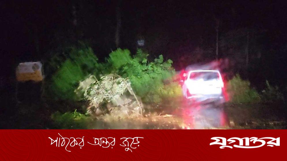 চুয়াডাঙ্গায় কালবৈশাখীর তাণ্ডব: বৃদ্ধের মৃত্যু, গাছ ভেঙে যান চলাচল ব্যাহত