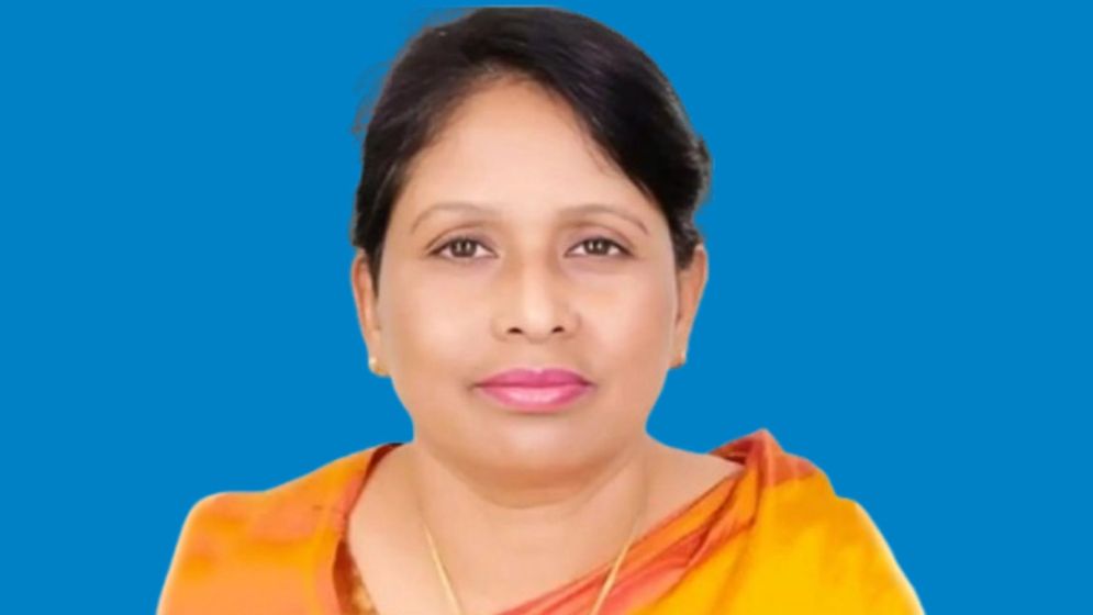 আ.লীগ পুনর্বাসনের কাজ করছিলেন সাবেক এমপি রুমী