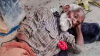 ছাগল বিক্রির ছাউনিতে বৃদ্ধের মানবেতর জীবনযাপন