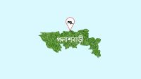 বৃদ্ধ শ্বশুর-শাশুড়ির ওপর নির্যাতন, পুত্রবধূ প্রধান শিক্ষিকা বরখাস্ত