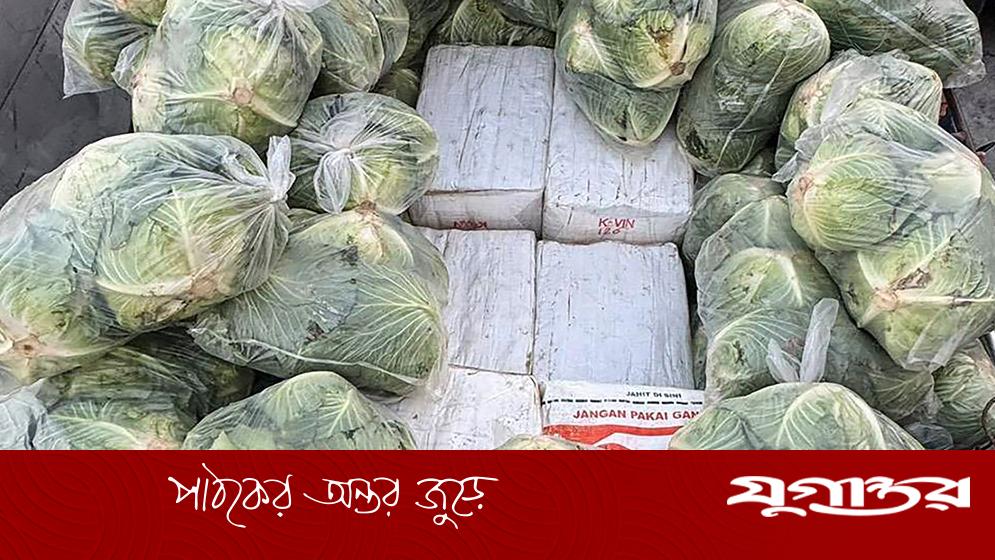থাইল্যান্ডে বাঁধাকপির বস্তায় লুকিয়ে ১.৬ টন মাদক জব্দ, চালক গ্রেফতার