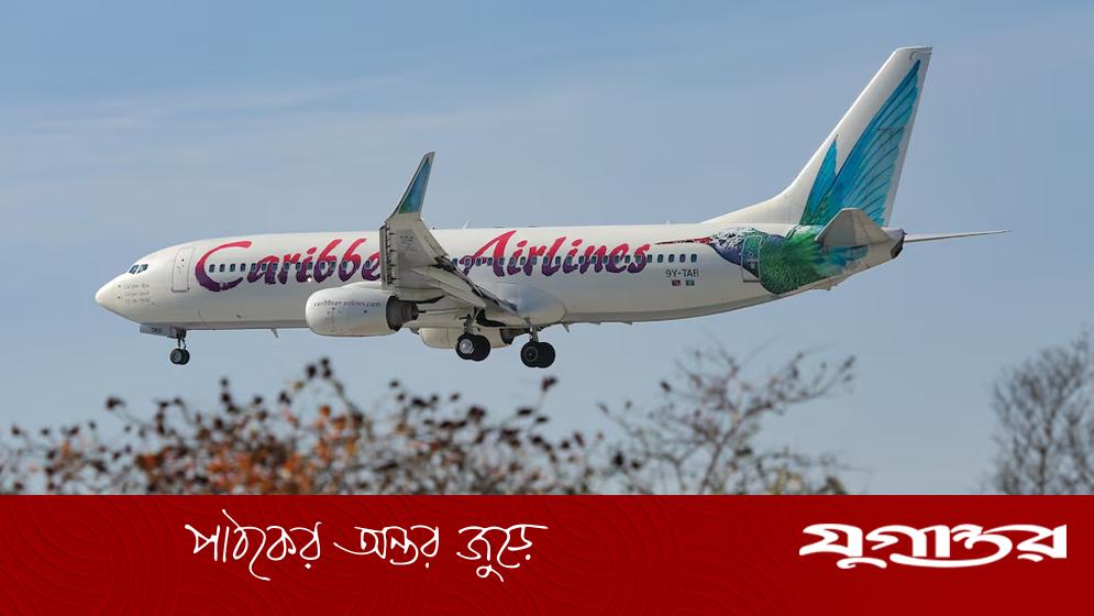 মাঝ আকাশে বিমানে জন্ম নিল শিশু, নাগরিকত্ব নিয়ে আইনি ধোঁয়াশা