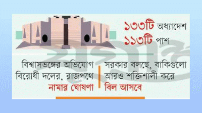 কার্যকারিতা হারাল ২০ অধ্যাদেশ