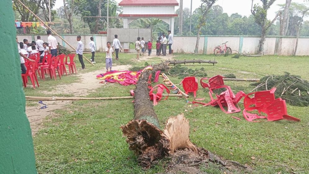 এসএসসি পরীক্ষার্থীদের বিদায় অনুষ্ঠানে গাছ উপড়ে পড়ে ৩ শিক্ষার্থী আহত