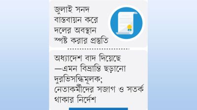 কৌশলে মোকাবিলা করবে বিএনপি