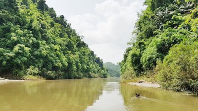 মাতামুহুরী নদীতে গোসলে নেমে পর্যটক নিখোঁজ