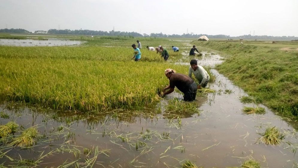 সুনামগঞ্জে বজ্রপাতে শিক্ষার্থীসহ ৫ জনের মৃত্যু