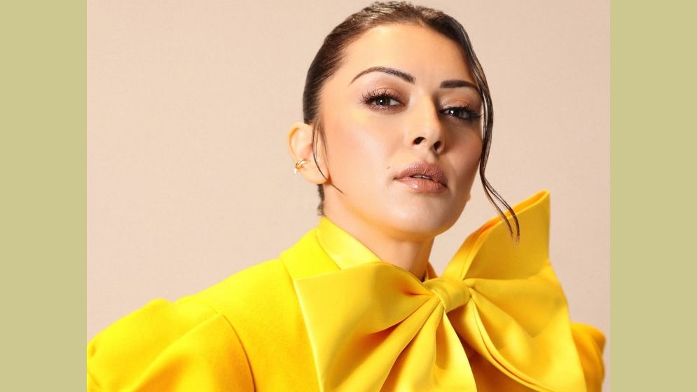 ‘কাস্টিং কাউচ’ নিয়ে মন্তব্য করে বিপাকে হানসিকা