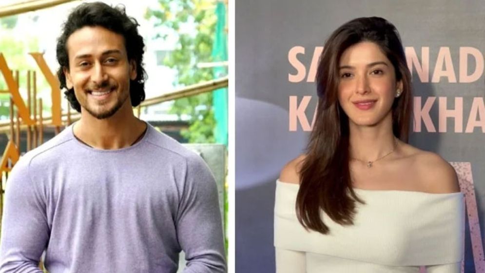 কমেডি সিনেমায় জুটি হয়ে আসছেন টাইগার ও শানায়া কাপুর