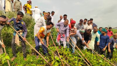 কোটালীপাড়ায় খালের কচুরিপানা পরিষ্কার করলেন এমপি জিলানী
