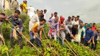 কোটালীপাড়ায় খালের কচুরিপানা পরিষ্কার করলেন এমপি জিলানী