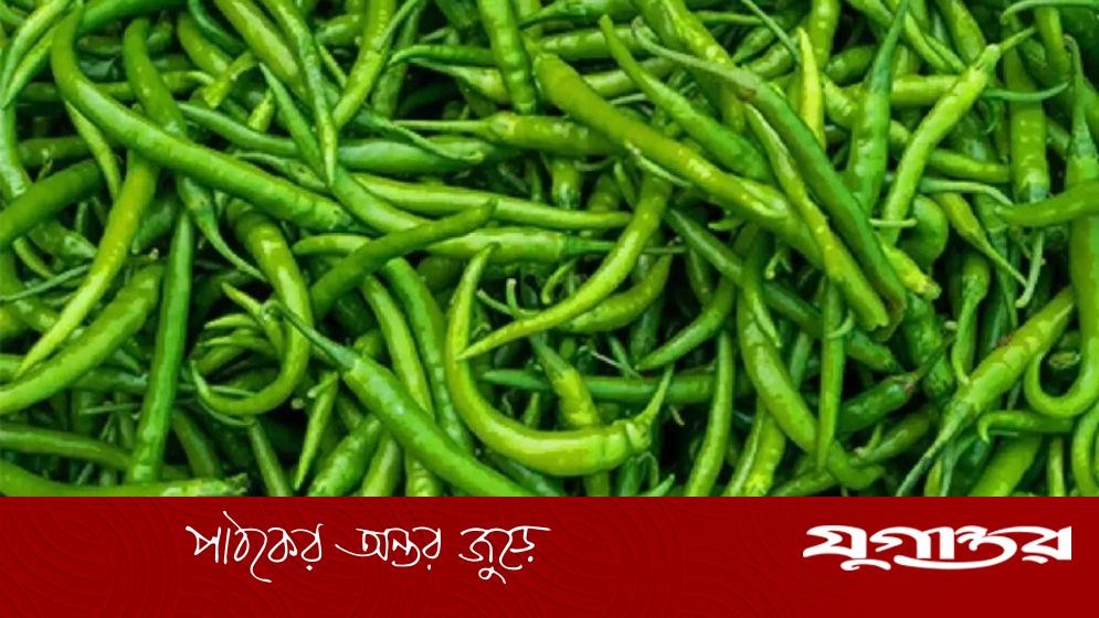 ভারত থেকে ২৮ টাকায় মরিচ আমদানি, দেশে বিক্রি ৩০০ টাকা