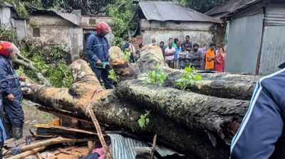কালবৈশাখী ঝড়ে গাছচাপায় দোকানে থাকা ব্যবসায়ীর মৃত্যু