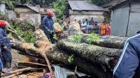 কালবৈশাখী ঝড়ে গাছচাপায় দোকানে থাকা ব্যবসায়ীর মৃত্যু