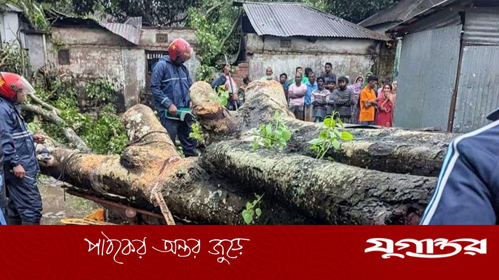 বগুড়ায় কালবৈশাখী ঝড়ে গাছচাপায় পান ব্যবসায়ীর মৃত্যু