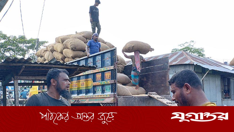 বাগেরহাটে ধানের দামে ধস, লোকসানে কৃষকরা