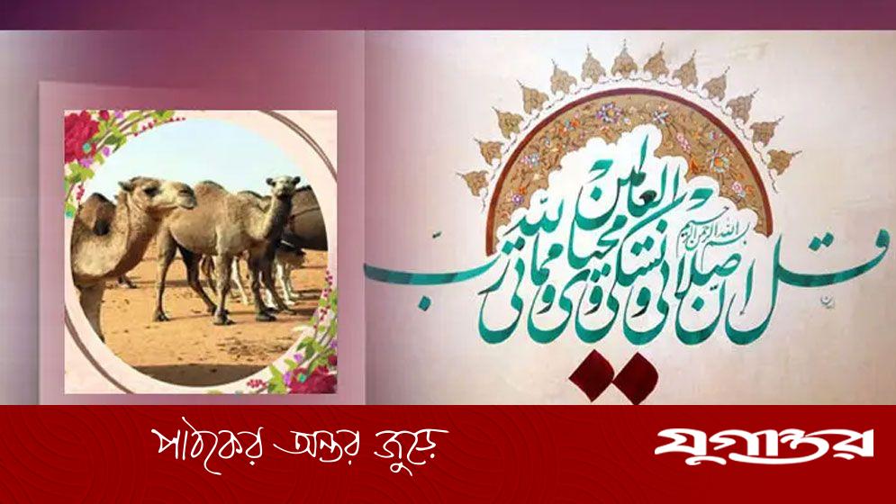 কুরবানি: ওয়াজিব না সুন্নাতে মুয়াক্কাদাহ?