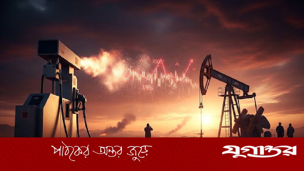 এ বছর ২৪ শতাংশ বাড়তে পারে জ্বালানি দাম: বিশ্বব্যাংক