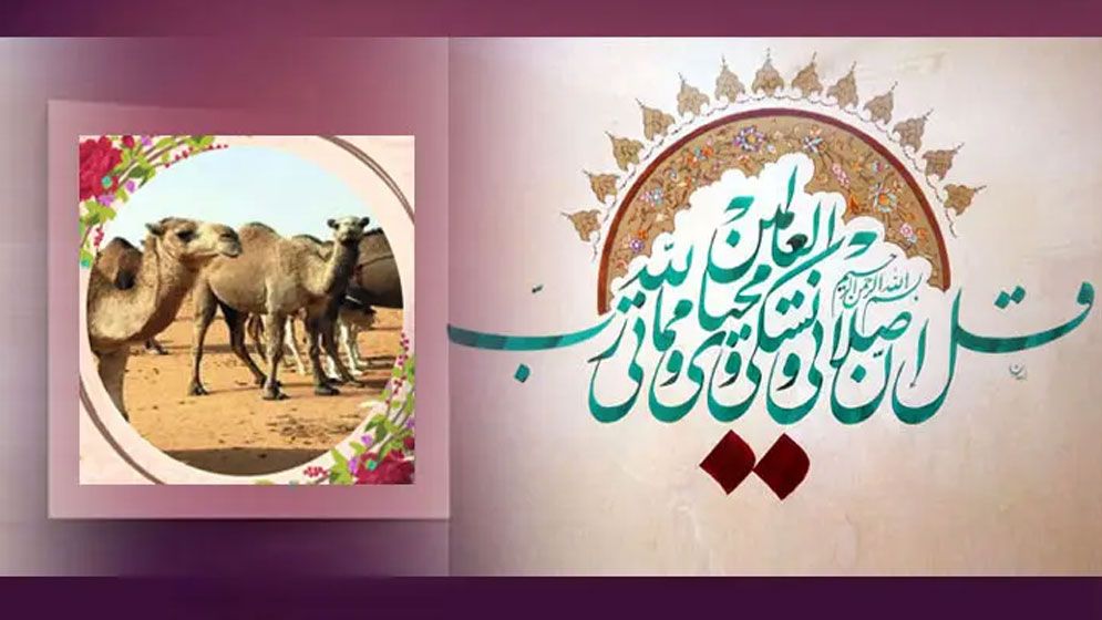 কুরবানির ইতিহাস ও ঐতিহ্য