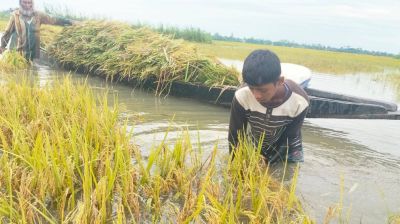 ‘আমার সব শেষ হয়ে গেল, এখন সারা বছর কীভাবে চলব’