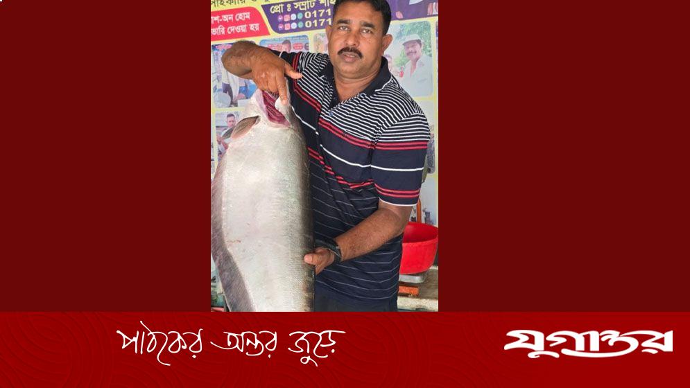 রাজবাড়ীতে জেলের জালে ৯ কেজির চিতল মাছ, দাম ১৪,৪০০ টাকা