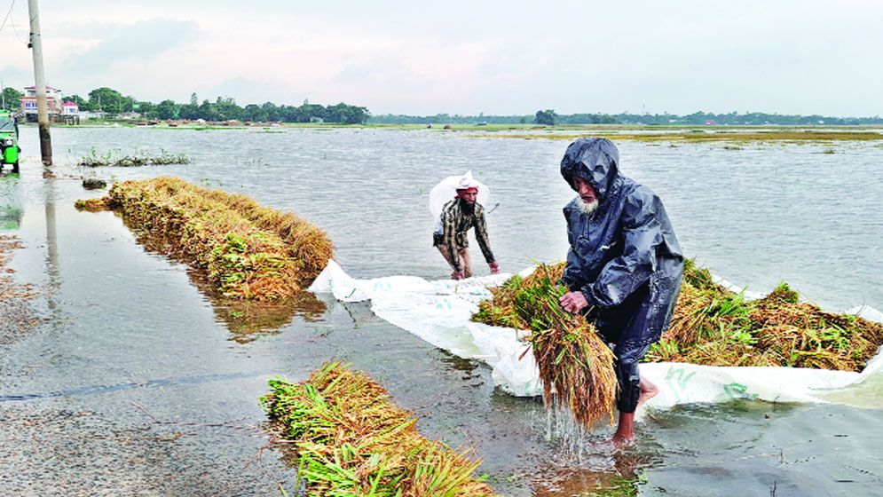 পানির নিচে কৃষকের স্বপ্ন