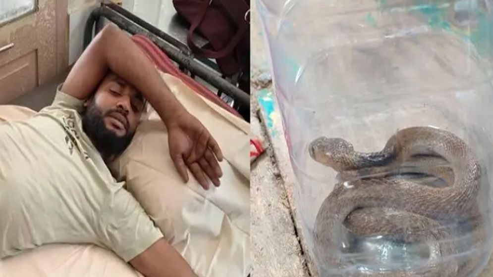 ছোবলের পর জীবন্ত গোখরা সাপ নিয়ে হাসপাতালে যুবক
