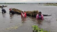 বৃষ্টিপাত কমলেও হাওড়ের কৃষকের অবস্থা নাজুক