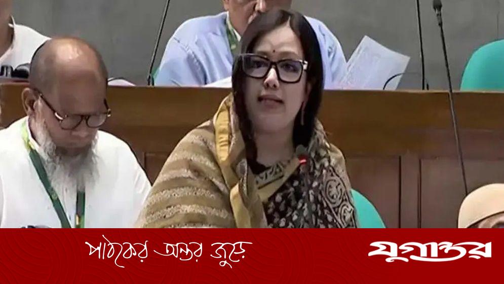 শেয়ার বাজারে ১৫ বছরে লুট ১ লাখ কোটি টাকা: রুমিন ফারহানা