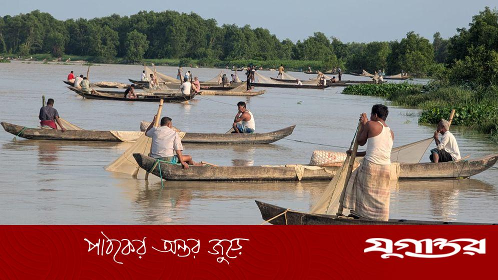 ২০ বছর পর হালদায় বিরল দৃশ্য: একই দিনে ভোরে ও জোয়ারে ডিম ছাড়ল মা মাছ