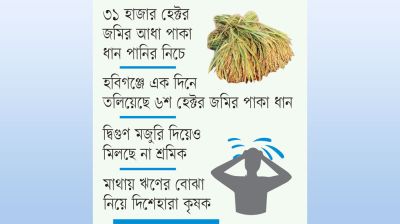 হাওড়জুড়ে এখন শুধু ক্ষতির হিসাব