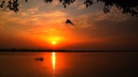 জনম জিরাতি সুখ