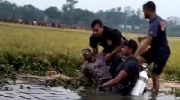 হাওড়ে ধান কাটতে গিয়ে একজনের মৃত্যু