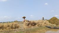 হাওড়জুড়ে এখন উদ্বেগ আর হতাশার চিত্র