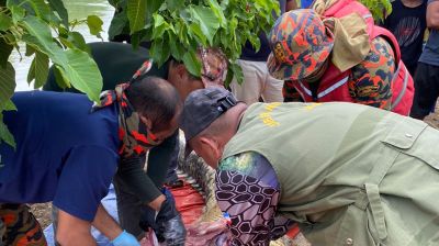 কুমিরের পেটে মিলল নিখোঁজ ব্যবসায়ীর লাশ