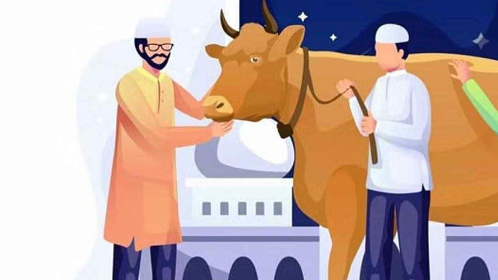 কুরবানি ও আকিকা কি এক পশুতে দেওয়া যাবে?