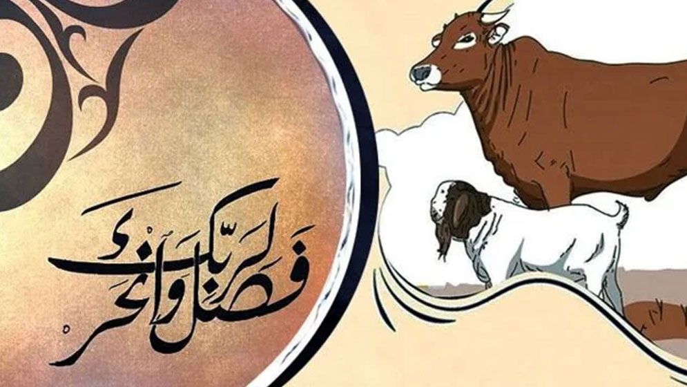 পশুর যেসব দোষ থাকলে কুরবানি শুদ্ধ হবে না